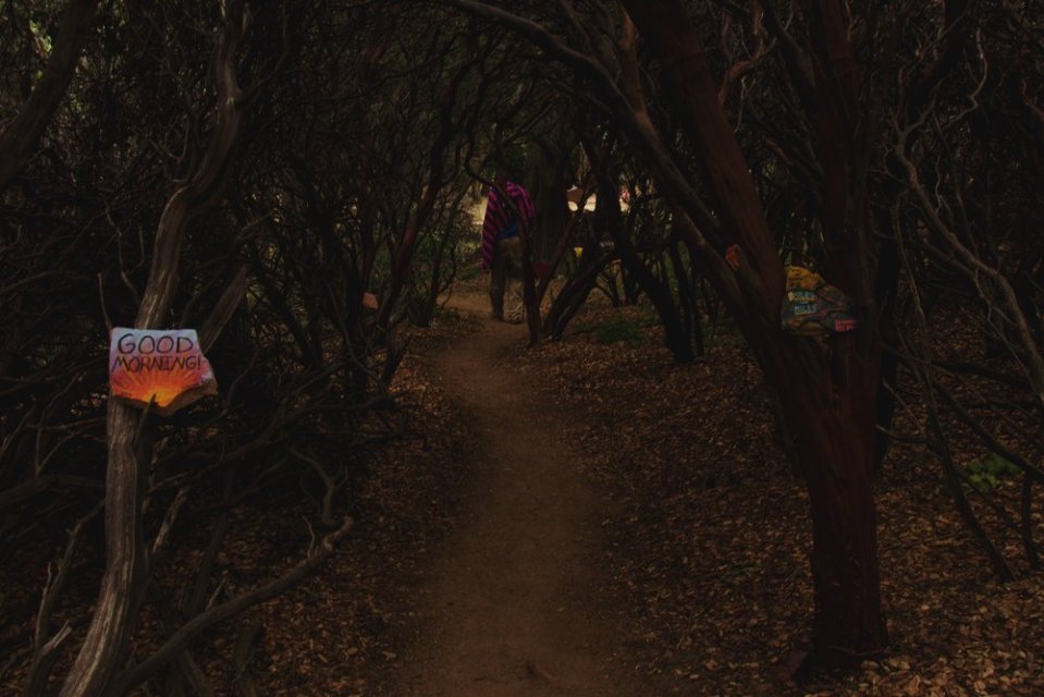  Entrance to the maze.&nbsp; 