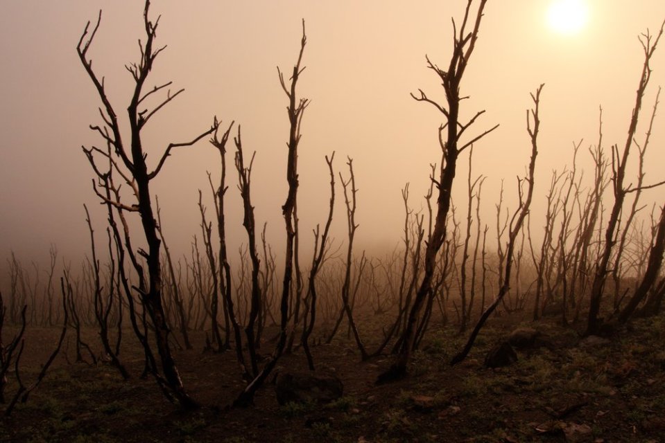  Woke up in the middle of a cloud. Beautiful but incredibly wet. Who would've known clouds contained so much water...&nbsp; 