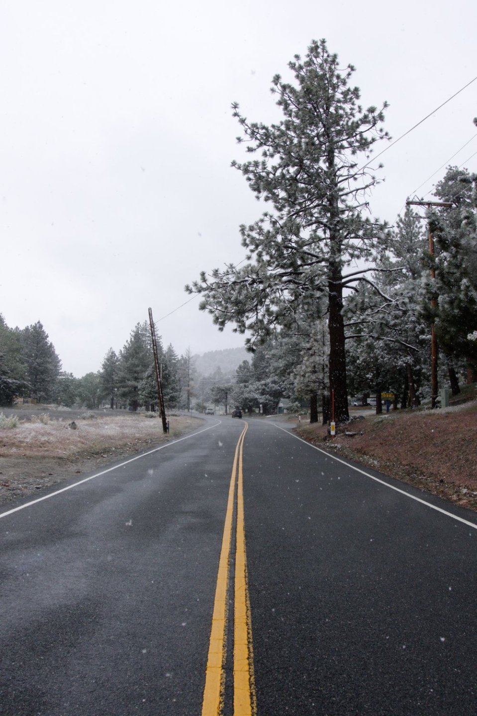 The road leading out of Wrightwood.&nbsp; 
