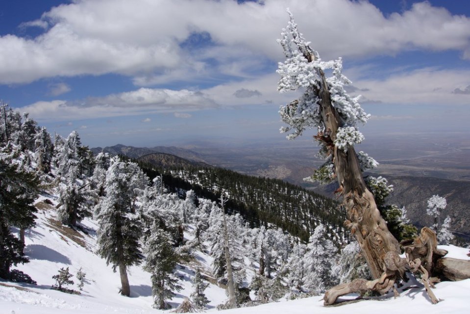  On the way to Baden-Powell. A first taste of the real snow that's awaiting us in the Sierra Nevada Mountains. 