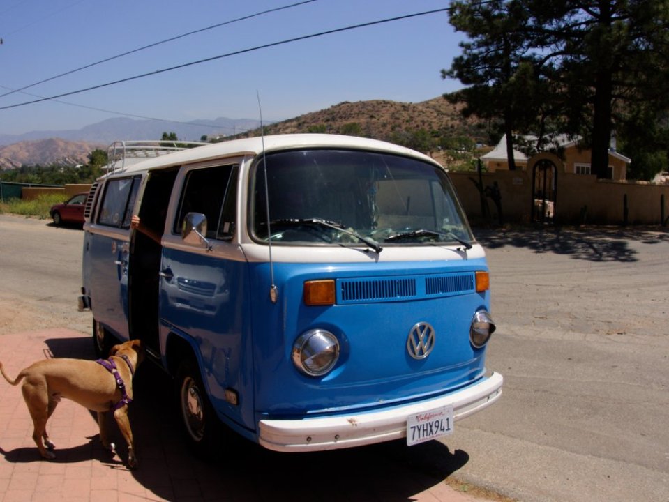  We got a hitch to Hiker Haven in my dream car. Dog included. 