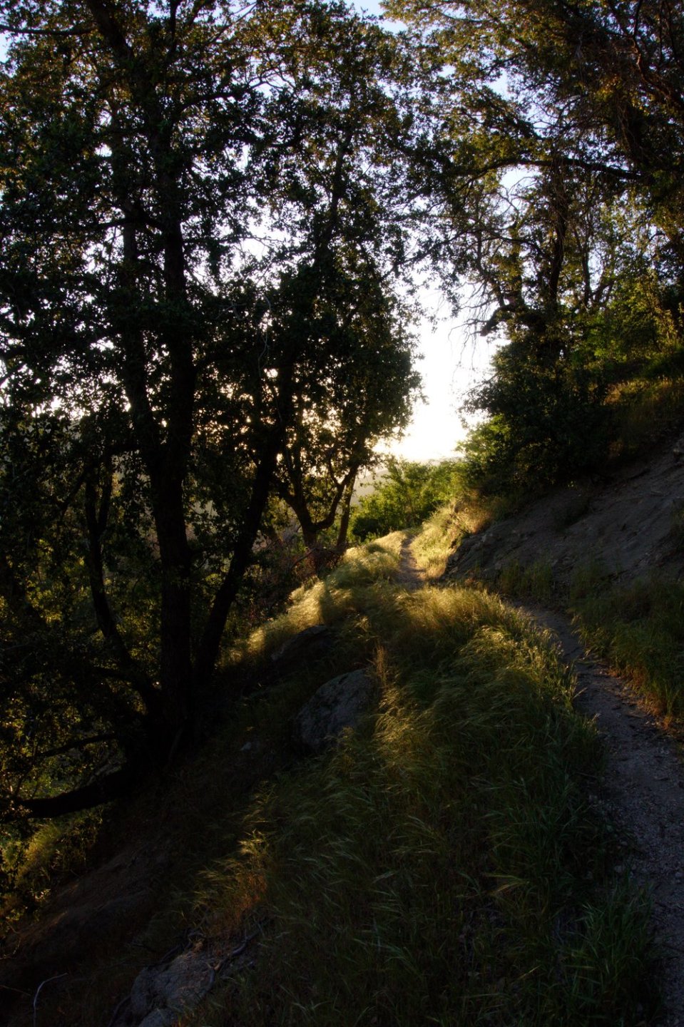  We mostly start walking before sunrise, and fall asleep right after sunset.&nbsp; 