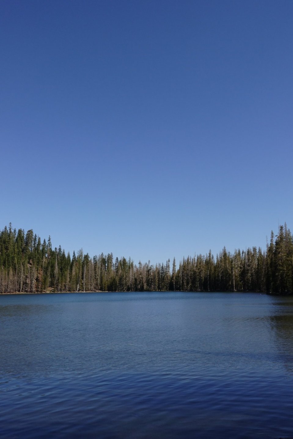  Lower Twin Lake. Had my first swim in an on trail lake! 