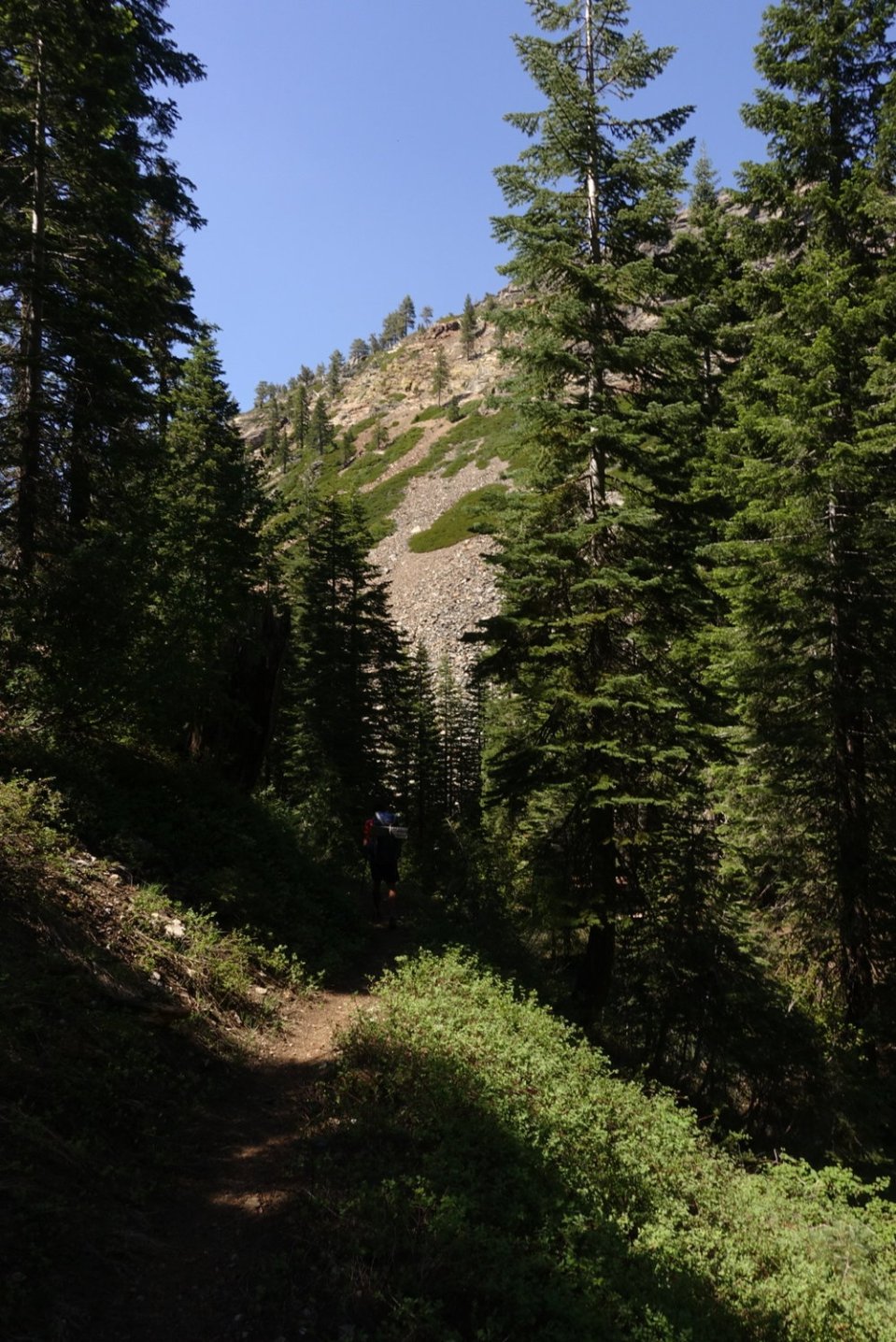  All the green I've been longing for.&nbsp; 