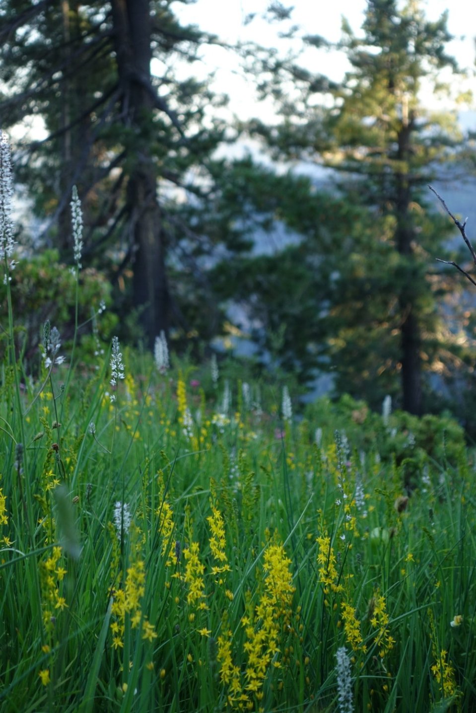  You can't see them. But they are there. They always are.&nbsp; 