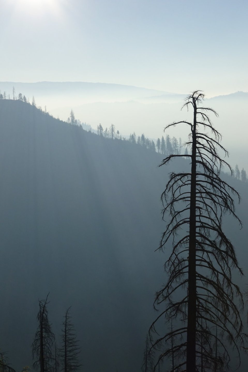  Morning light, climbing out of Seiad Valley. 