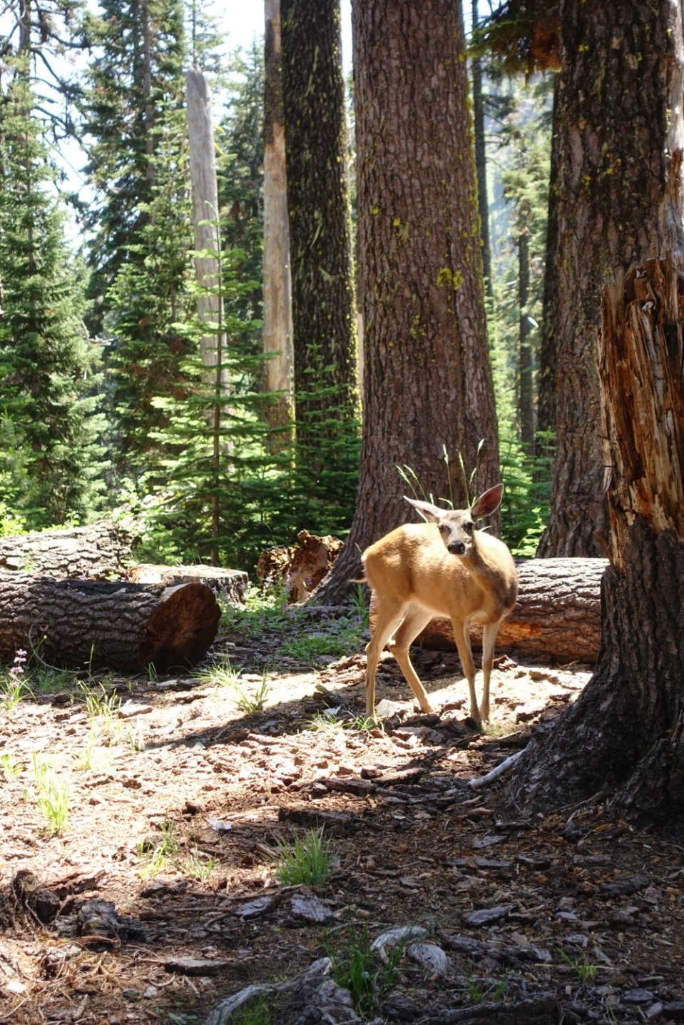  Made a Friend.&nbsp; 