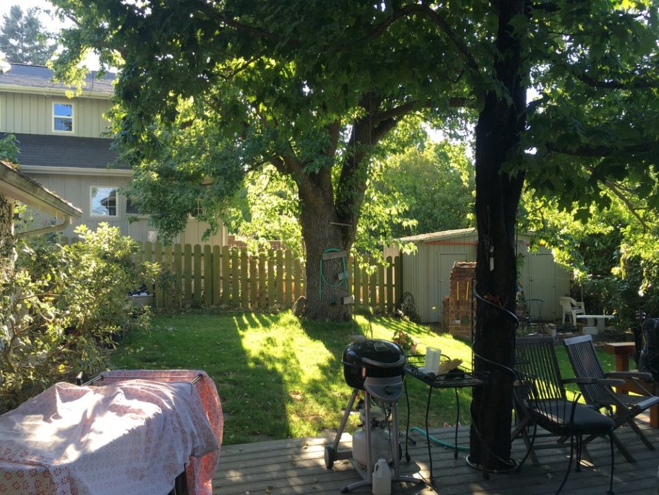  This is Patrick's backyard.&nbsp; 