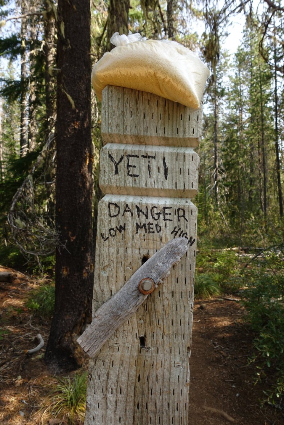  The forest is a dangerous place.&nbsp; 