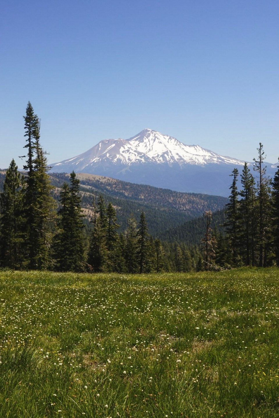  Shasta, the mountain that we all draw as kids, without even knowing it. 