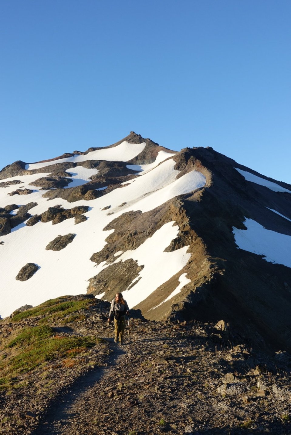  Simba coming down from Old Snowy. 