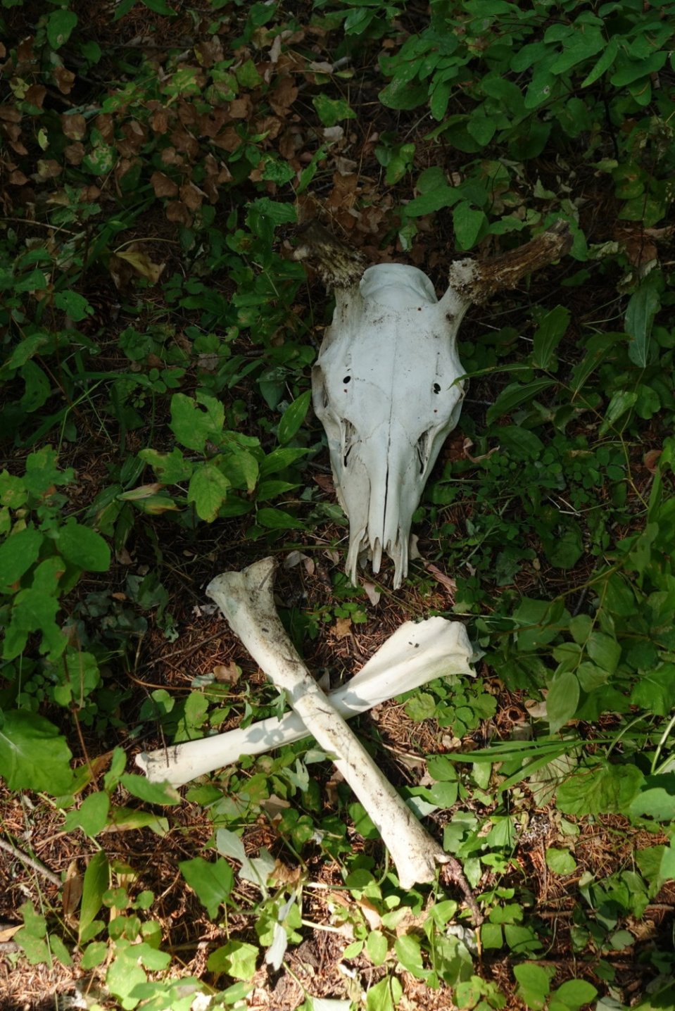  One of the first notable things I saw in Washington. Is this a sign?&nbsp; 