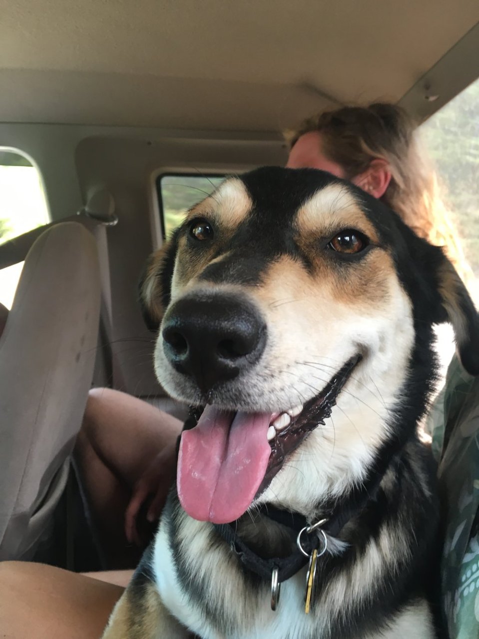  Favorite kind of hitch.&nbsp; 