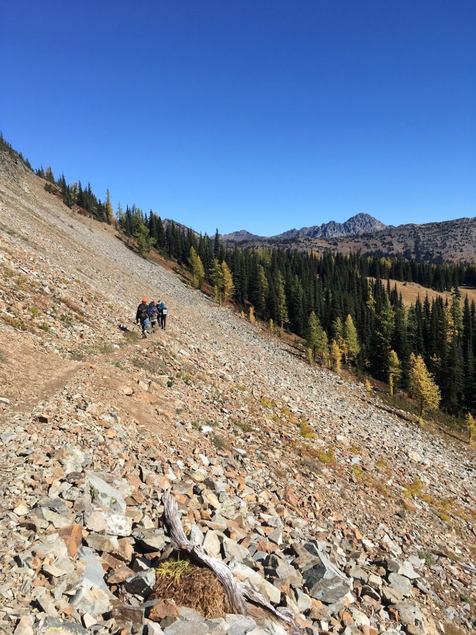 Heading toward the larches 
