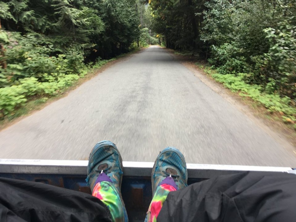  The hitchhiking throne 